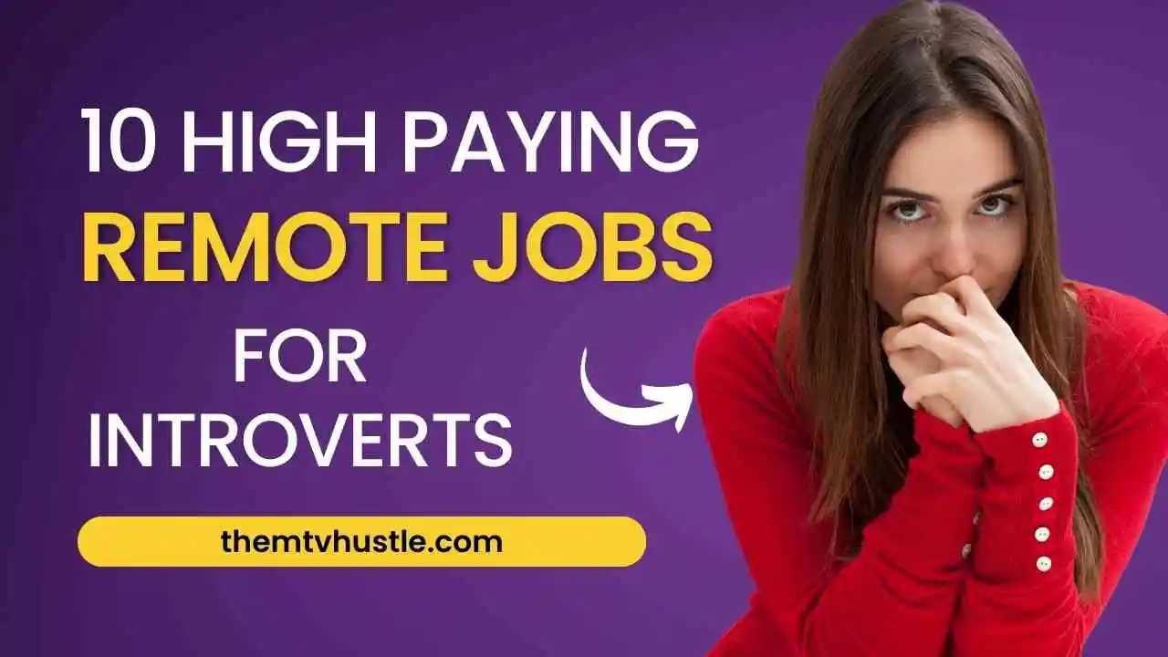 10 High paying remote jobs for introverts